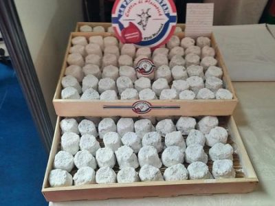 439263301_459155666868371_5829309603594080084_n